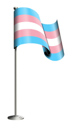 Vector de bandera de orgullo transgénero aislado en blanco. Todos los elementos ordenados y agrupados en capas