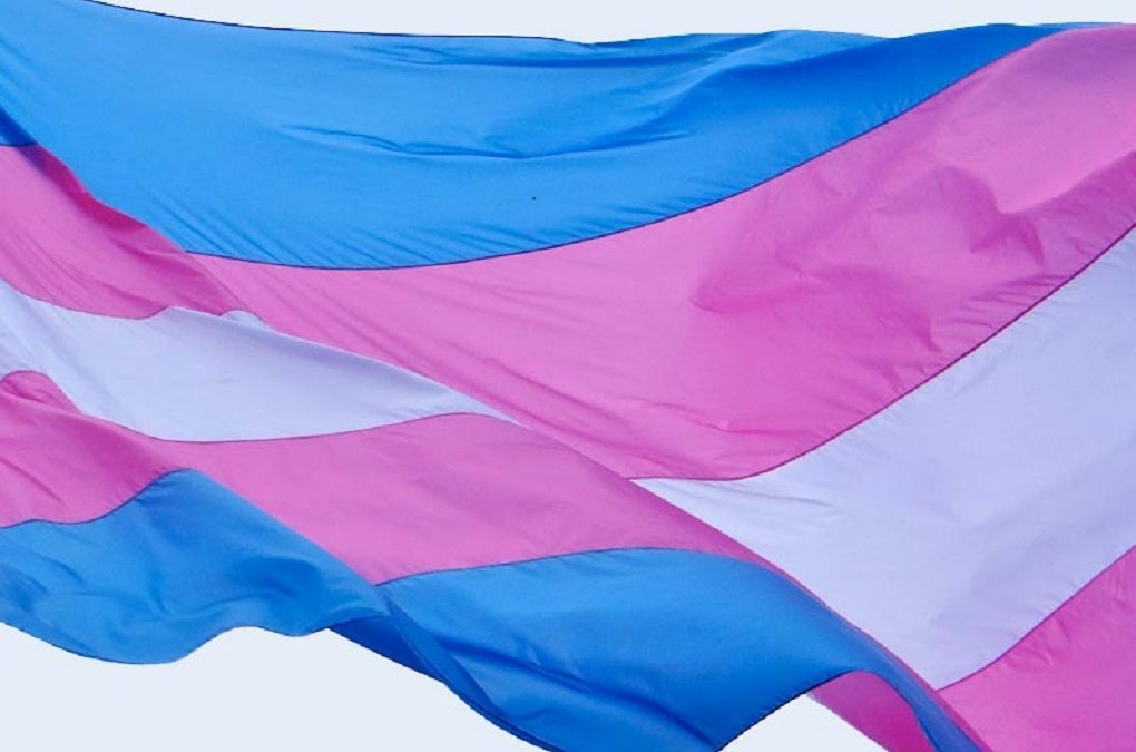 Families Sue to Stop Florida Ban on Essential Medical Care for Transgender Youth