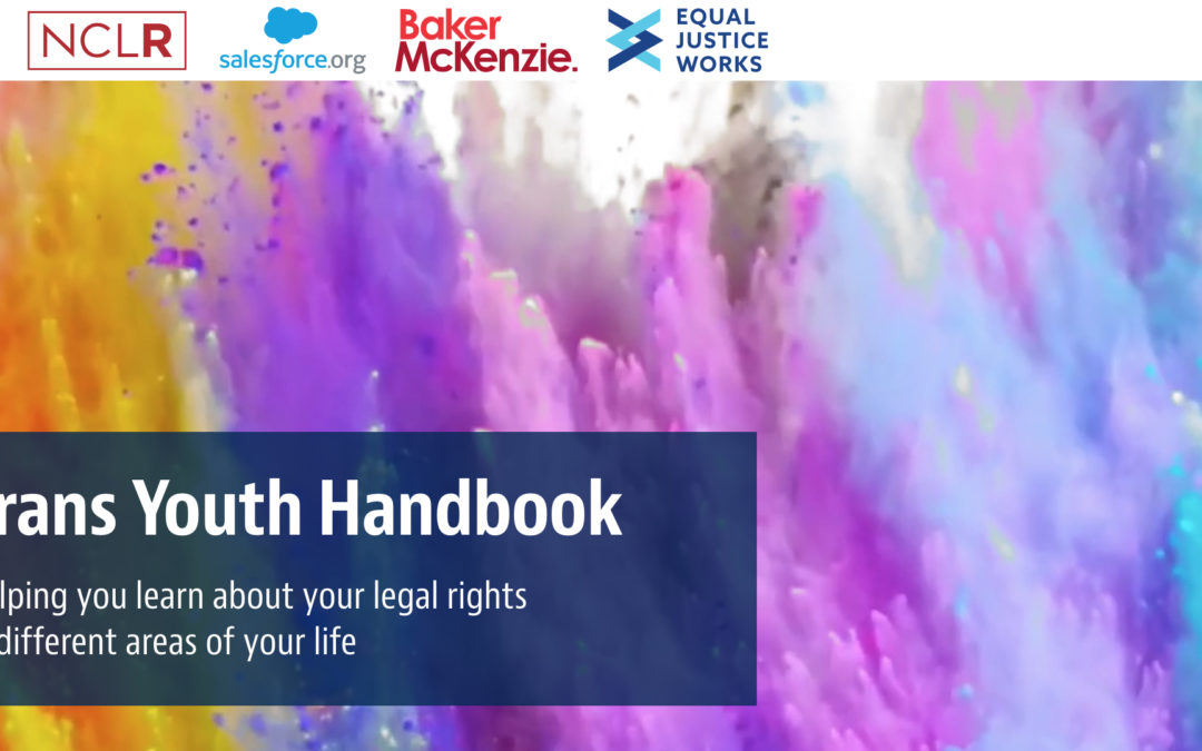 Harvard Law School LGBTQ+ Advocacy Clinic and  NCLR Release First-of-Its-Kind Comprehensive  Legal Resource for Transgender Youth