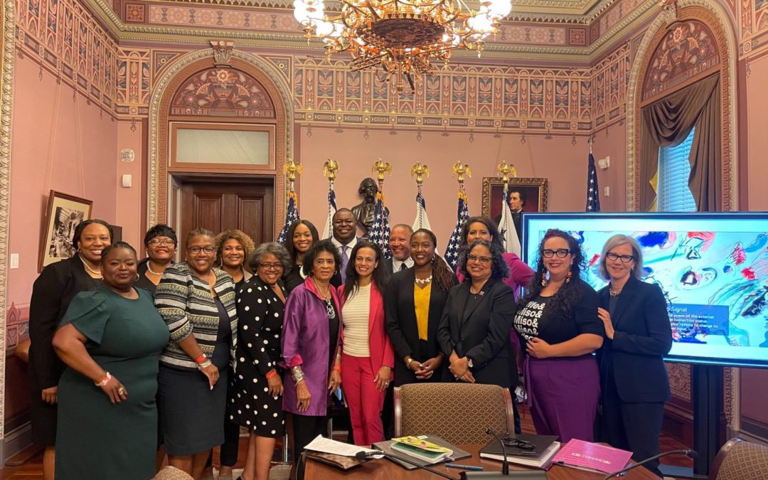 National Civil Rights and Reproductive Rights Leaders Meet with Vice President Harris to Stress the Urgency to Protect Reproductive and Voting Rights