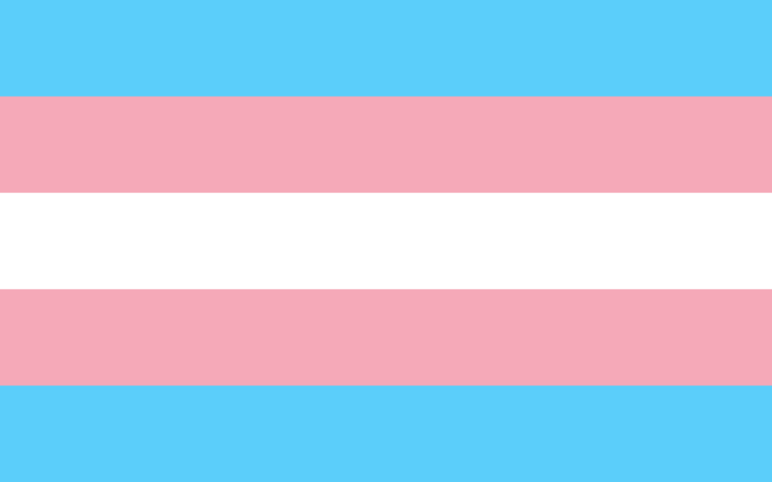 Statement on 11th Circuit Order Allowing Alabama Transgender Adolescent Medical Ban to Take Effect