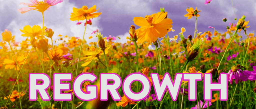 Regrowth. 

Flowers is the background of the graphic.