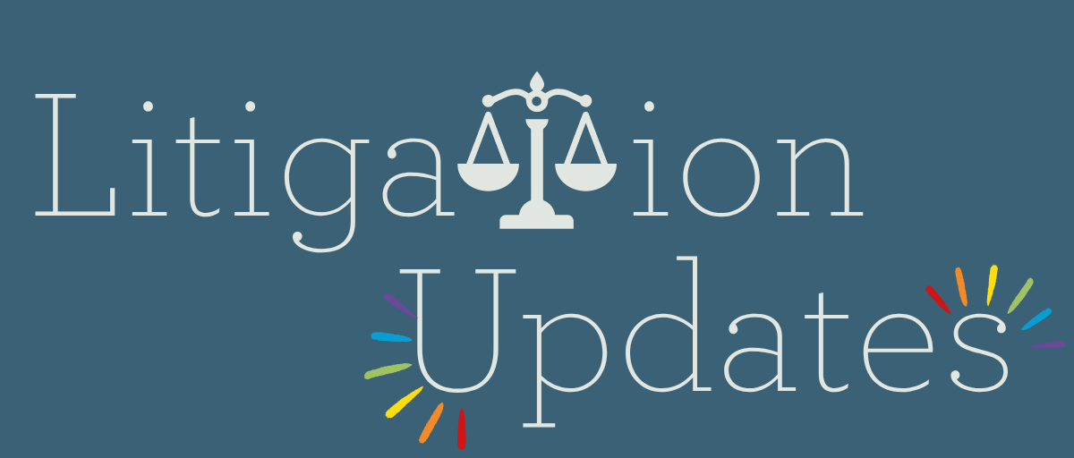 Litigation Updates