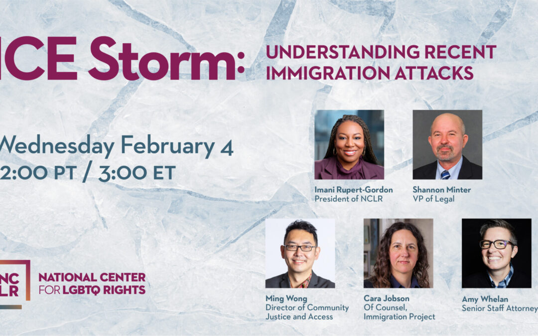 ICE Storm: Understanding Recent Immigration Attacks
