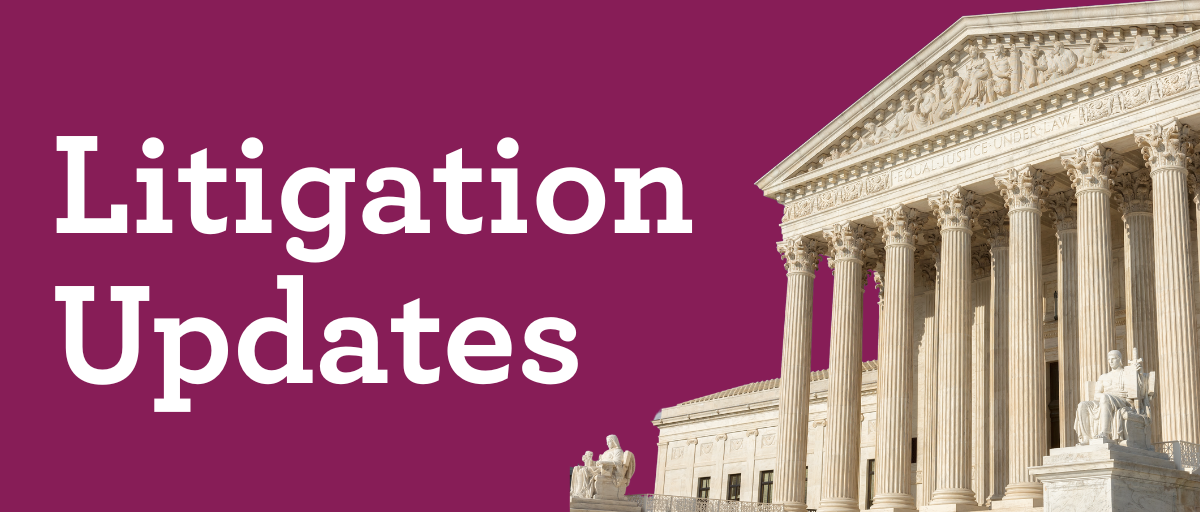 Litigation Updates